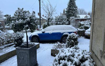 Writing, Climate, Snow, and Cars