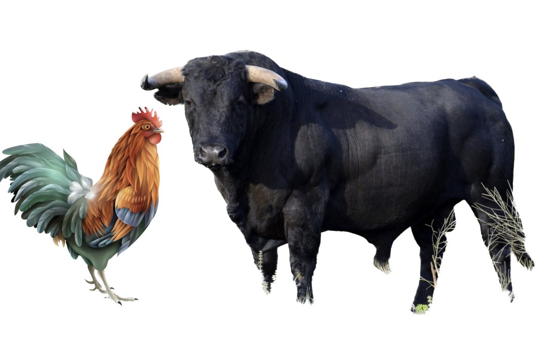 Cock and Bull
