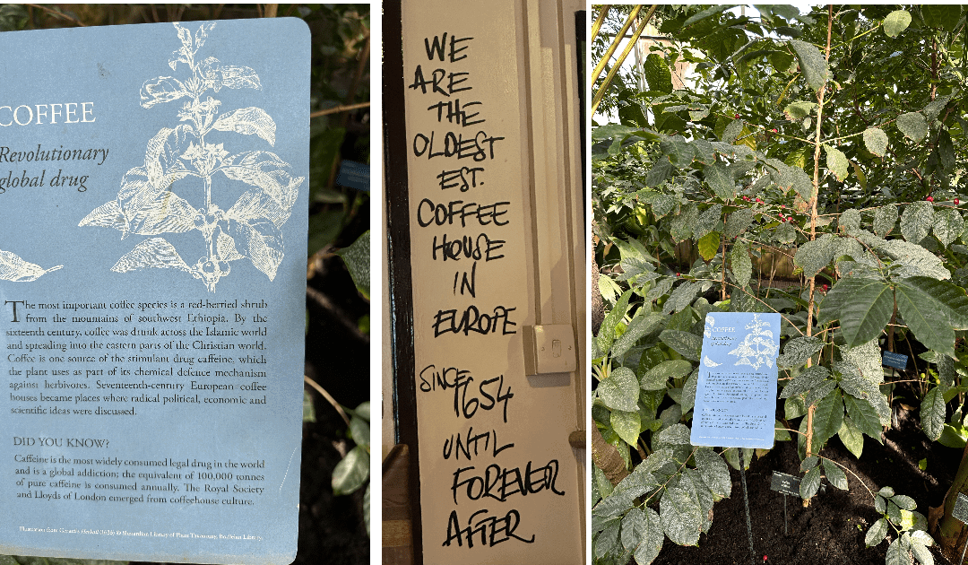 Revolutionary Global Drug