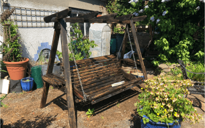 Easter, Oak, Golf, and the Garden