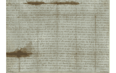 Magna Carta & Papal Infalibility